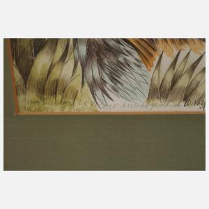 Anton Krejcar, "Traumvogel"