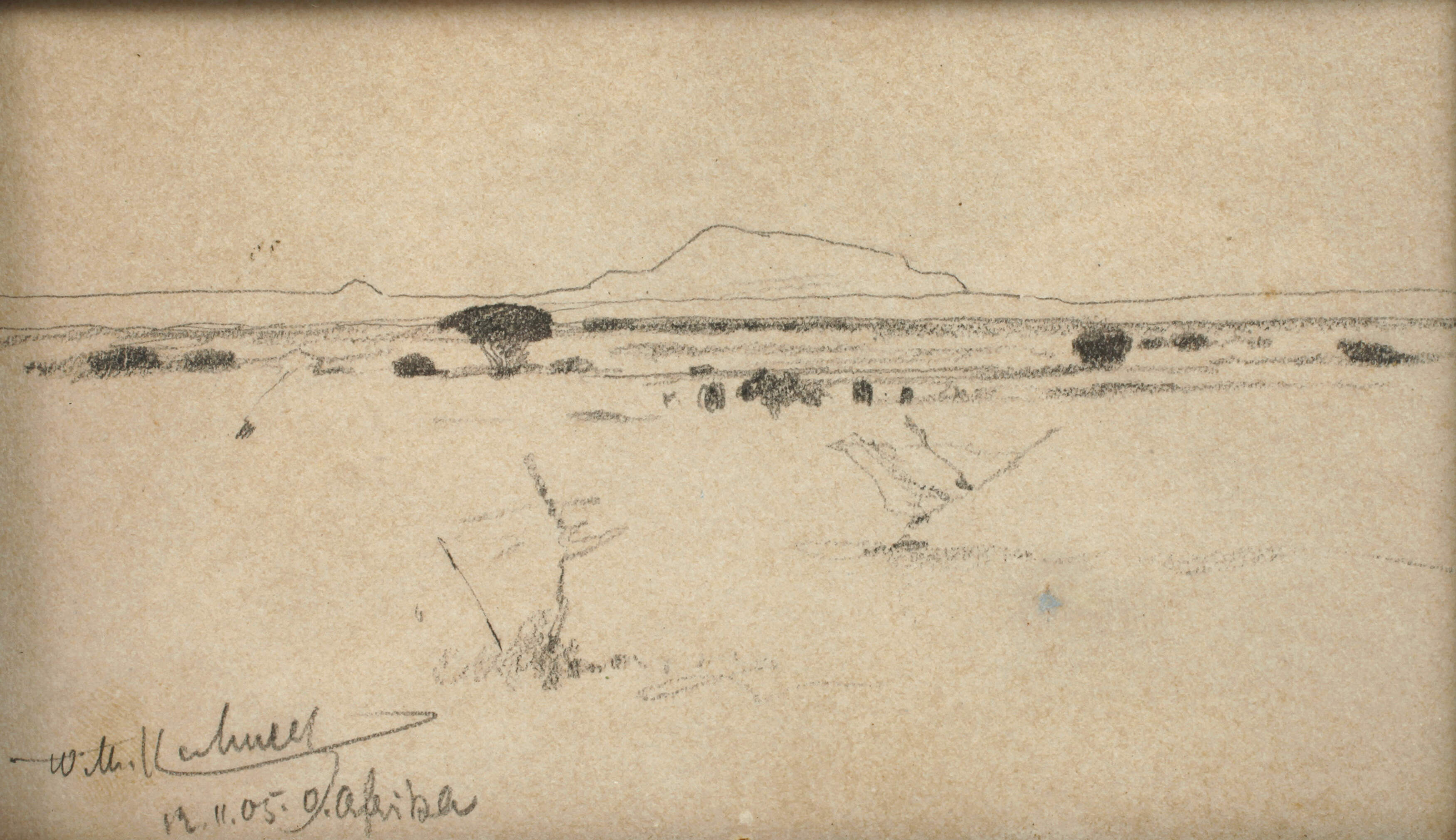 Wilhelm Kuhnert, Afrikanische Landschaft