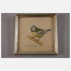 nach Karl Schicktanz, Drei Vogelportraits