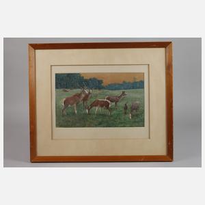 Carl Zimmermann, Äsendes Hirschrudel