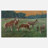 Carl Zimmermann, Äsendes Hirschrudel111