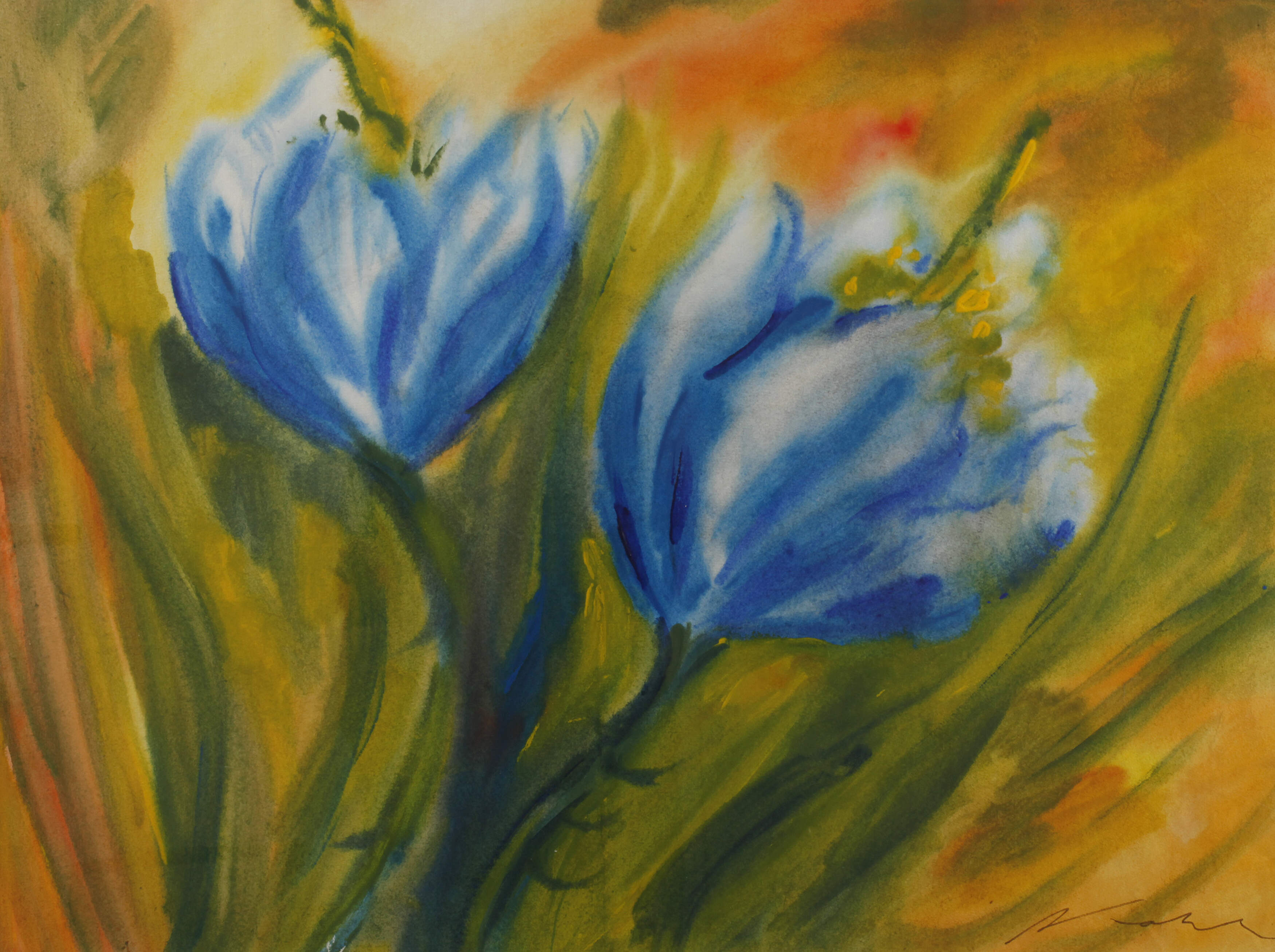 Alfred Kohler, Sommerblumen