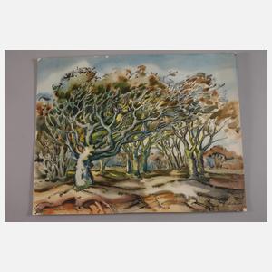 Johannes Dinter, Zwei Landschaftsdarstellungen