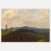 Albin Enders, "Himmel und Erde"111