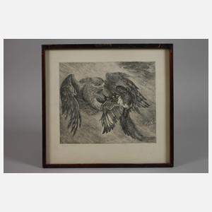 Bernd Hieke, "Jagender Habicht"