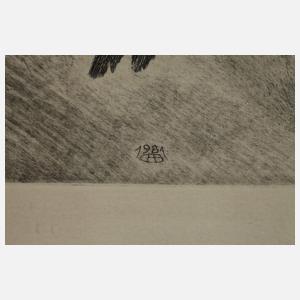 Bernd Hieke, "Jagender Habicht"