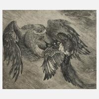 Bernd Hieke, "Jagender Habicht"111