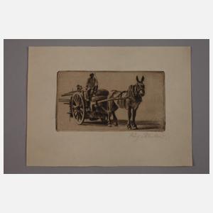 Prof. Richard Müller, Graphikkonvolut