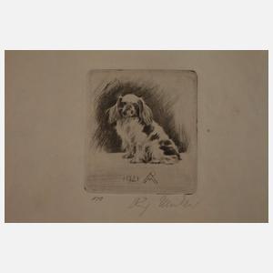 Prof. Richard Müller, Graphikkonvolut