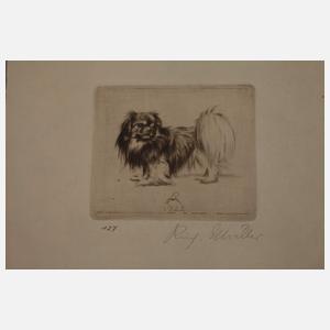 Prof. Richard Müller, Graphikkonvolut