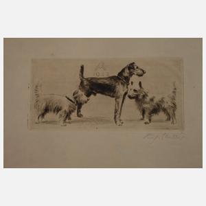 Prof. Richard Müller, Graphikkonvolut