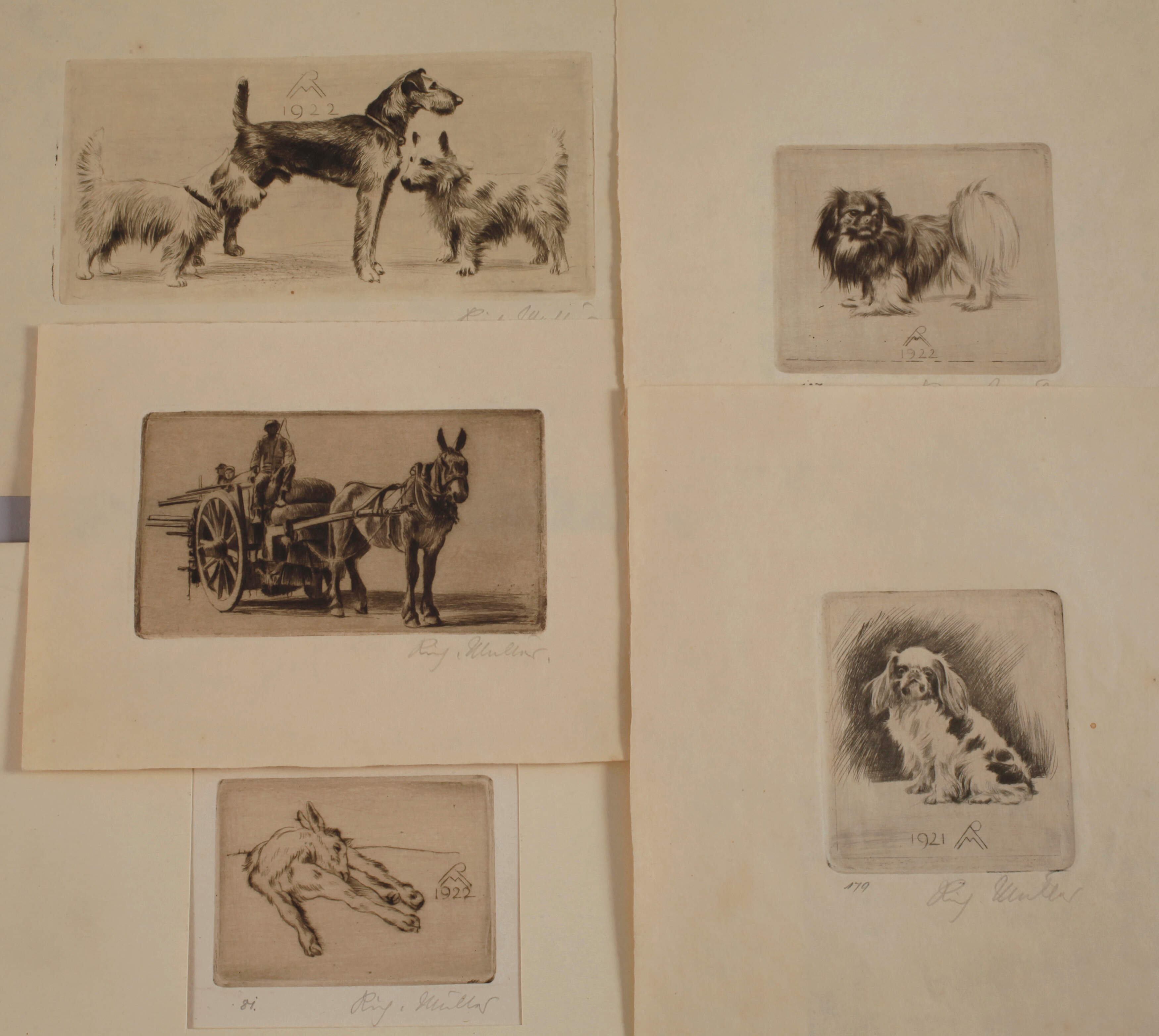 Prof. Richard Müller, Graphikkonvolut