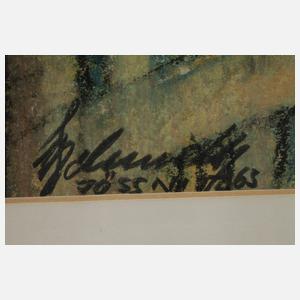 Martin Schmidt, Blick auf Plauen