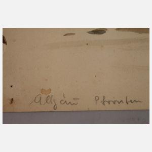 Alfred Tröger, Ansicht von Pfronten im Allgäu