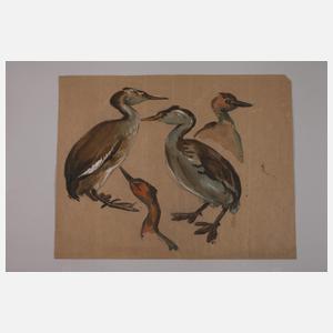 Alfred Tröger, attr., Reiherstudie