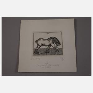 Prof. Baldwin Zettl, Graphikkonvolut