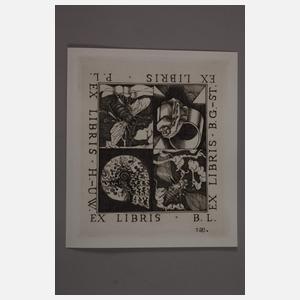 Prof. Baldwin Zettl, Graphikkonvolut