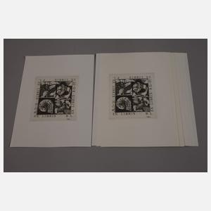 Prof. Baldwin Zettl, Graphikkonvolut