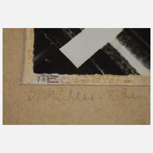 Otto Müller-Eibenstock, Fotogramm