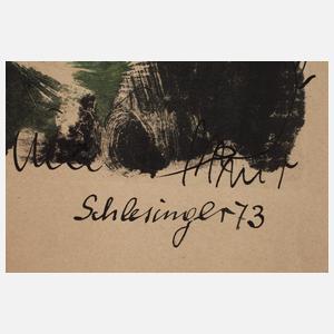 Gil Schlesinger, "Das Pfauentier"