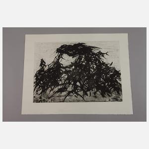 Prof. Max Uhlig, "Feldrandgewächs"