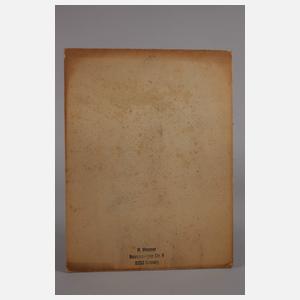 Prof. Heinz Werner, Herrenportrait