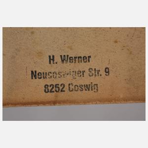 Prof. Heinz Werner, Herrenportrait