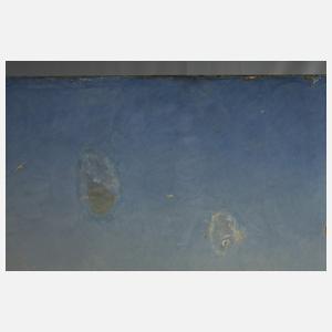 François Diday, Das Reichenbachtal bei Meiringen