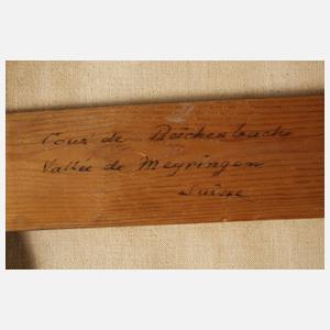 François Diday, Das Reichenbachtal bei Meiringen