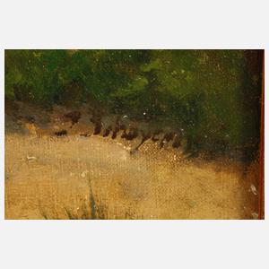 Josef Schoyerer, Spätsommer in den Alpen