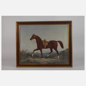 Prof. Alexander Schwabe, Pferdeportrait