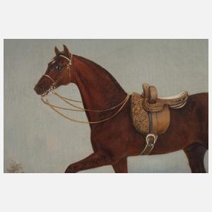 Prof. Alexander Schwabe, Pferdeportrait