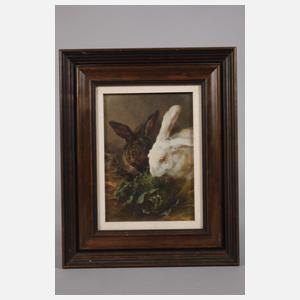 Sergio Budicin, Hasenpaar