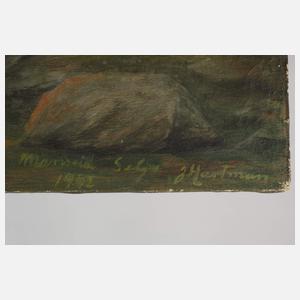 J. Hartman, Küste im Sonnenuntergang