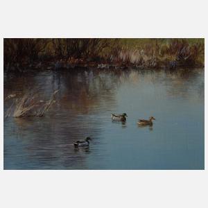 Eugen Kisselmann, Enten am Teich