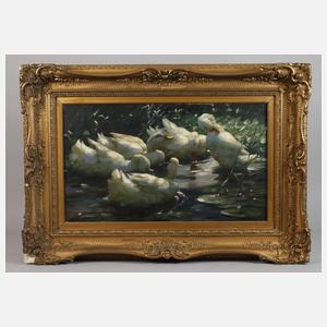 Alexander Koester, Fünf Enten im See
