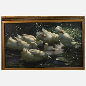 Alexander Koester, Fünf Enten im See