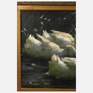 Alexander Koester, Fünf Enten im See