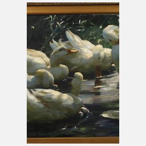 Alexander Koester, Fünf Enten im See