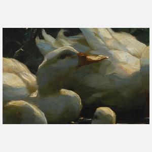 Alexander Koester, Fünf Enten im See