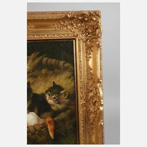 Benno Kögl, Katzenjunge