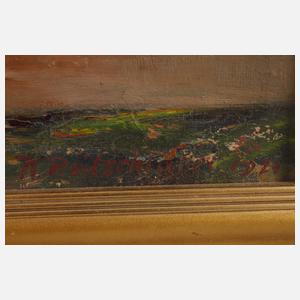 K. Reitschläger, Ansicht von Schloss Schönbrunn