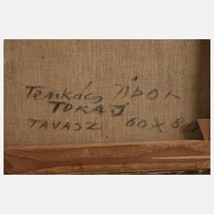 Tibor Tenkács, "Frühling" in Tokaj