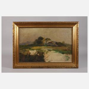 Vogel, Seelandschaft