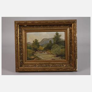 Sommerliche Bachlandschaft