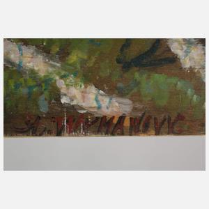 Stefan Vukmanovic, Stadtansicht