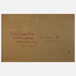 Expressiver Blumentopf