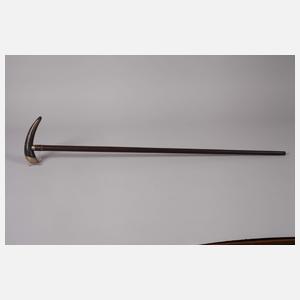 Spazierstock Horn
