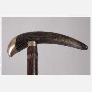Spazierstock Horn