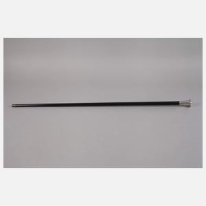 Spazierstock Silber